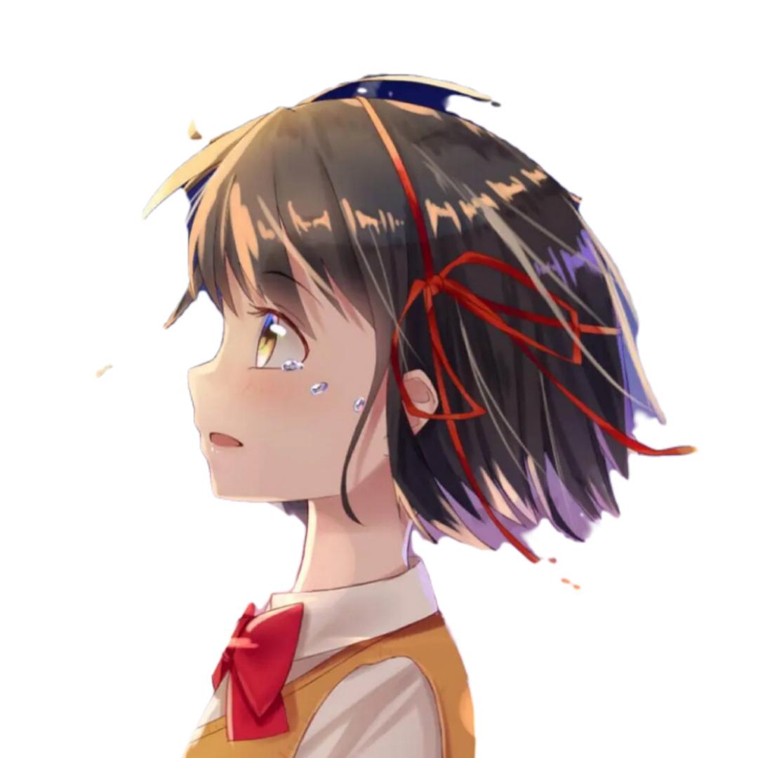 TT日记