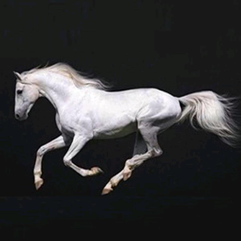 乾图车载用品旗舰店