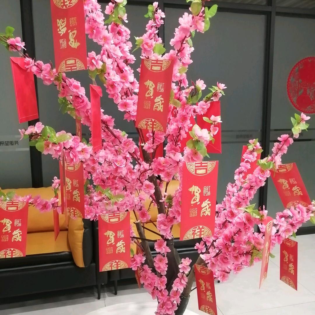 明天会快乐
