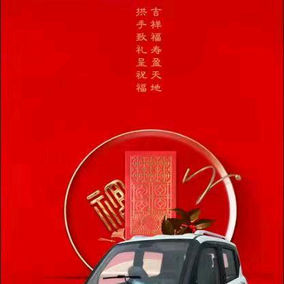 金蚂蚁车业