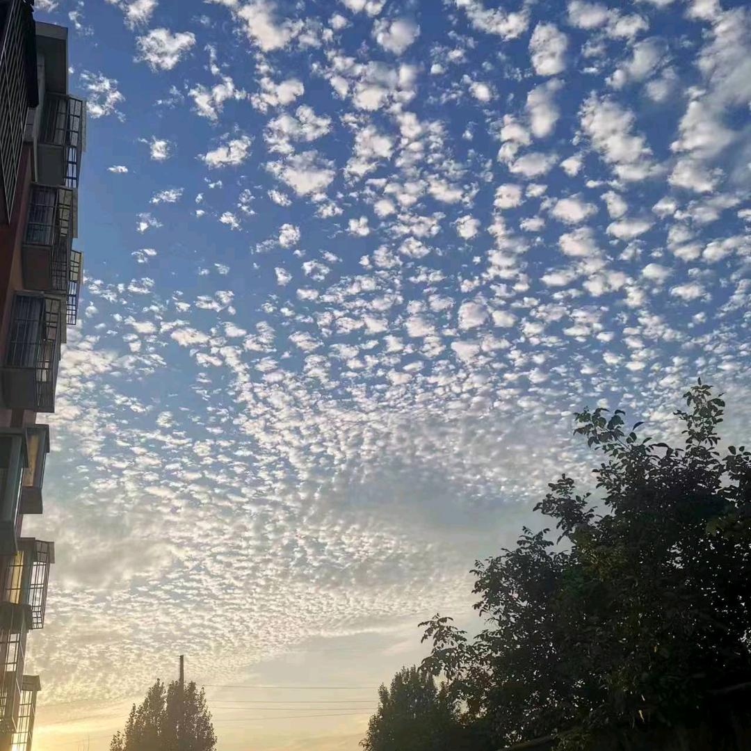 大美新汶