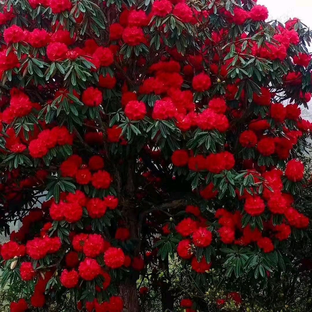 忘掉烦恼，