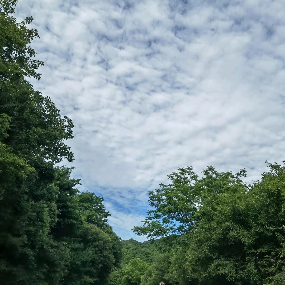 用户4179317208763开心就好