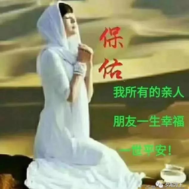 美丽的大草原
