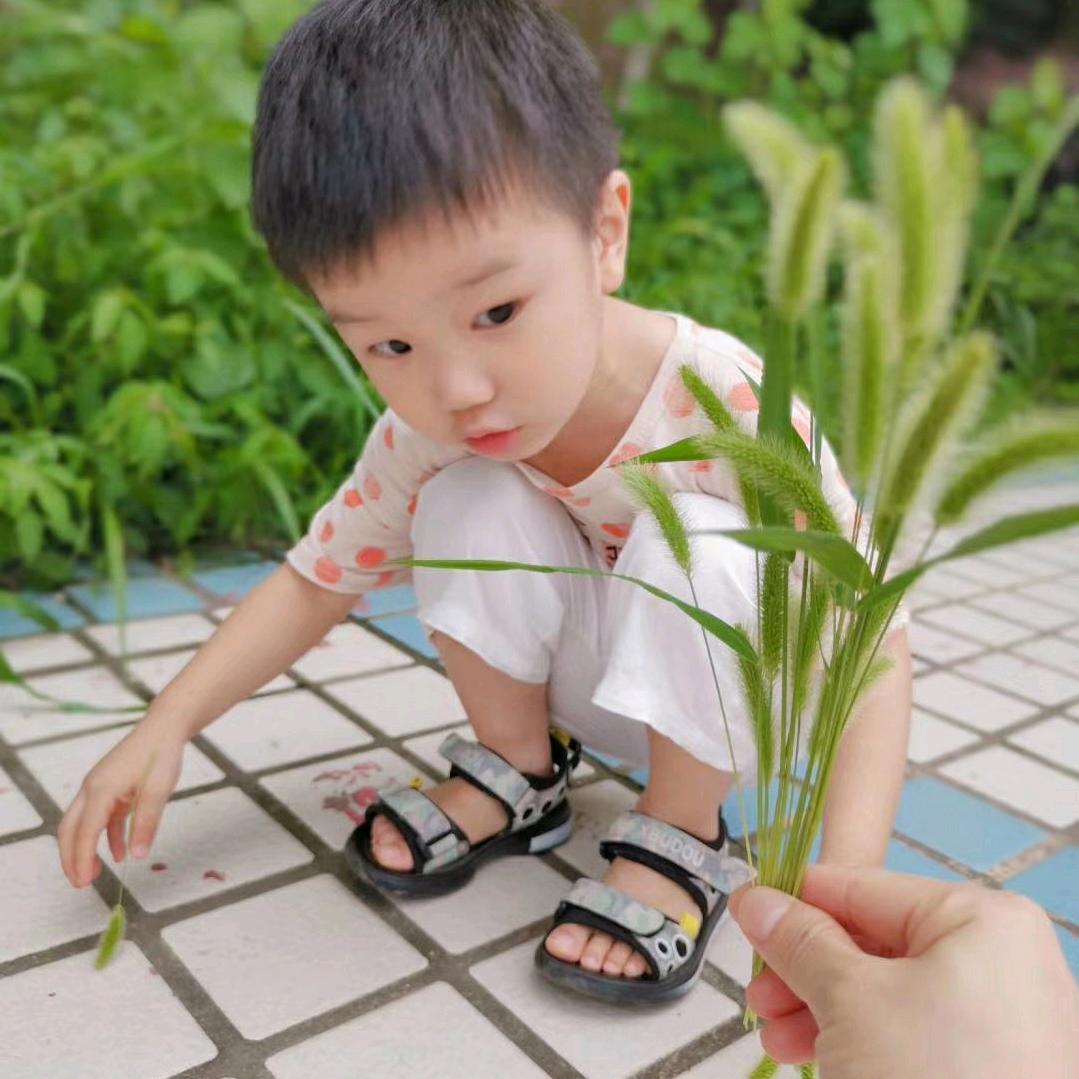 抖了一抖
