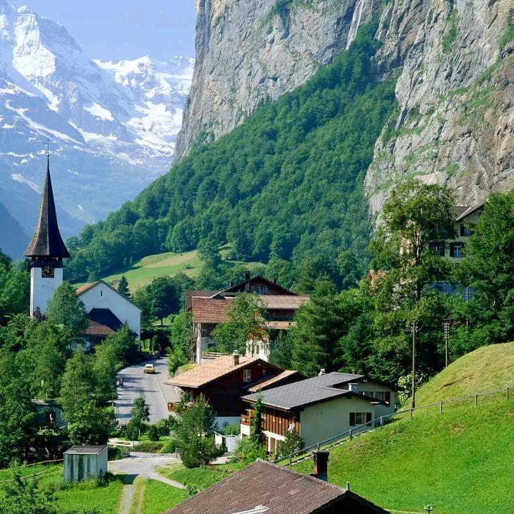 ᰔᩚ.爱吃鱼的大脸猫