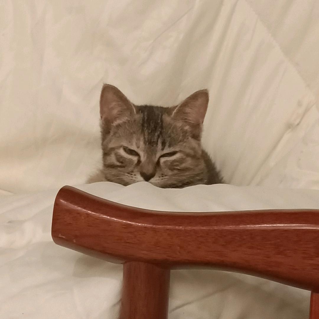 花生