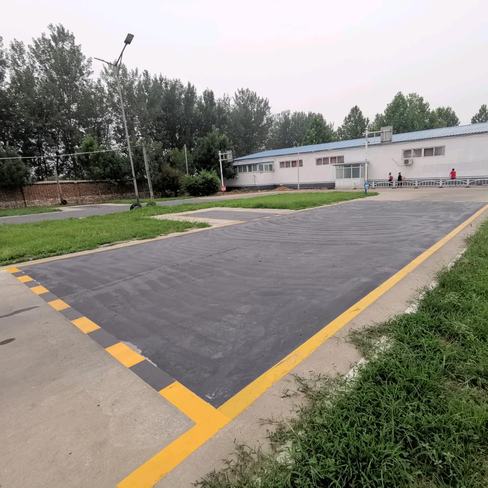 我只会表演倒车入库