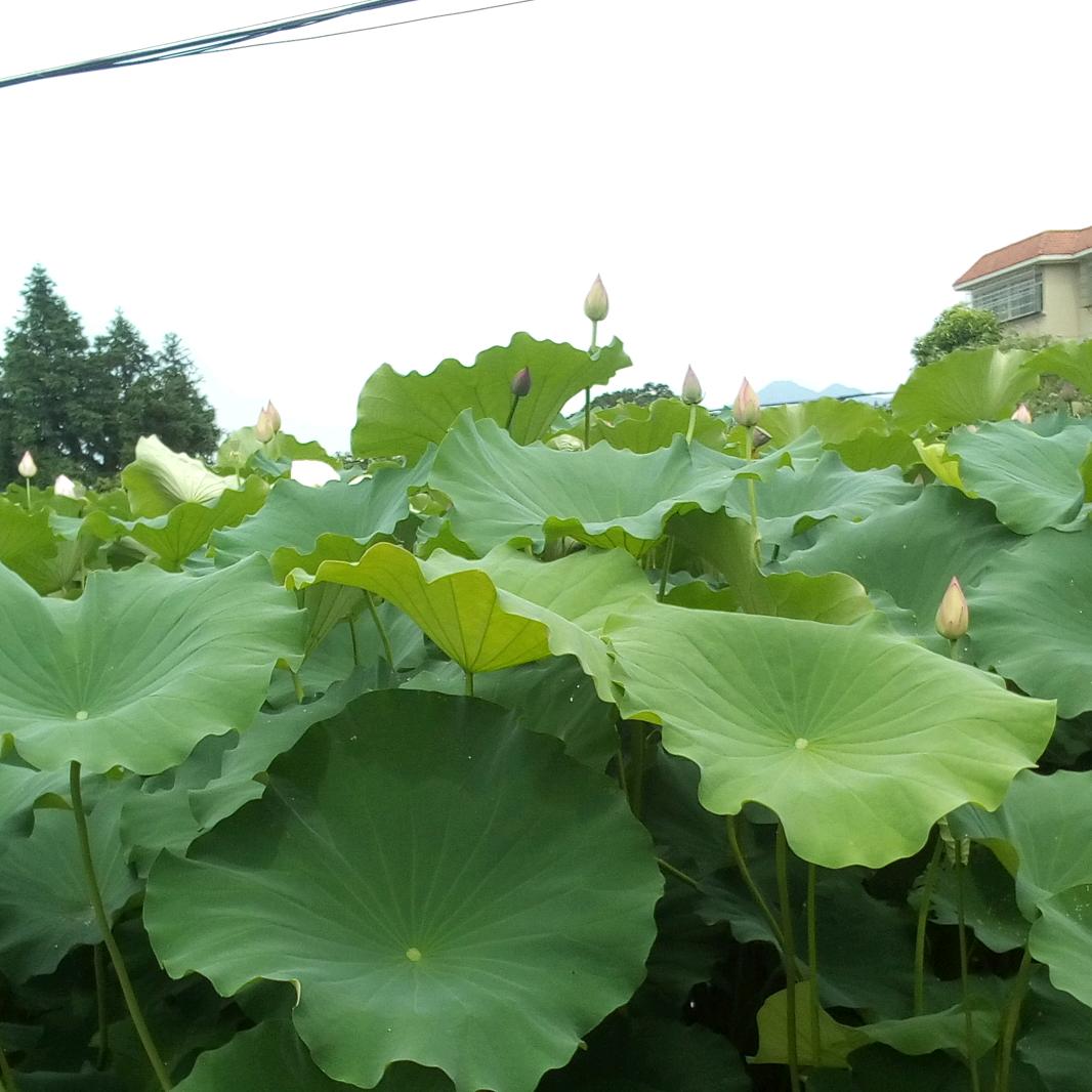 有你就幸福