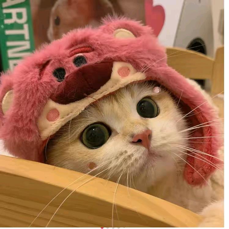 李子木！