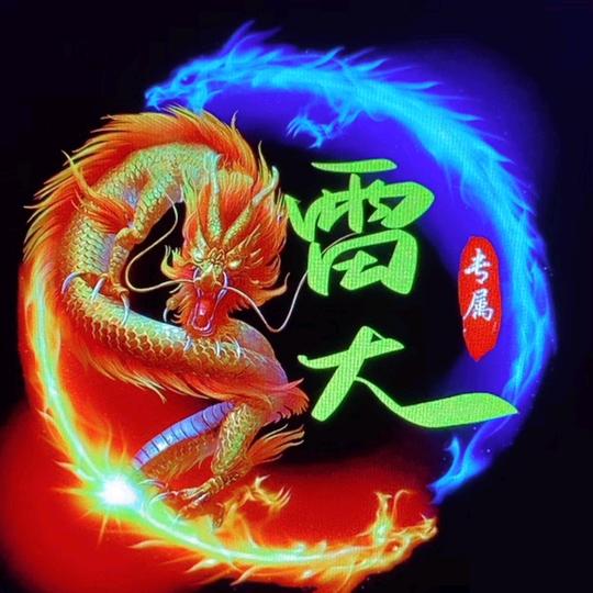 💫雷大