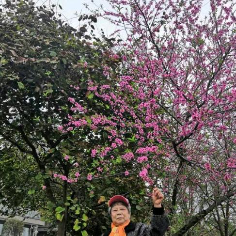 李芳☺️