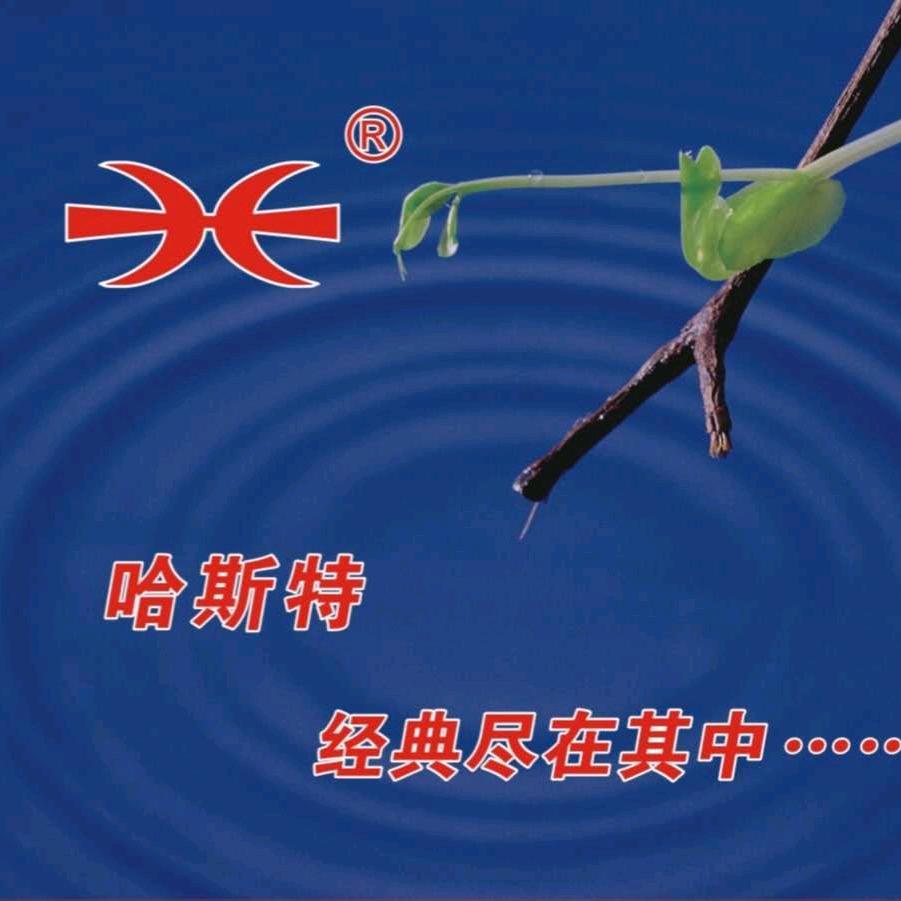 哈斯特鞋用化工