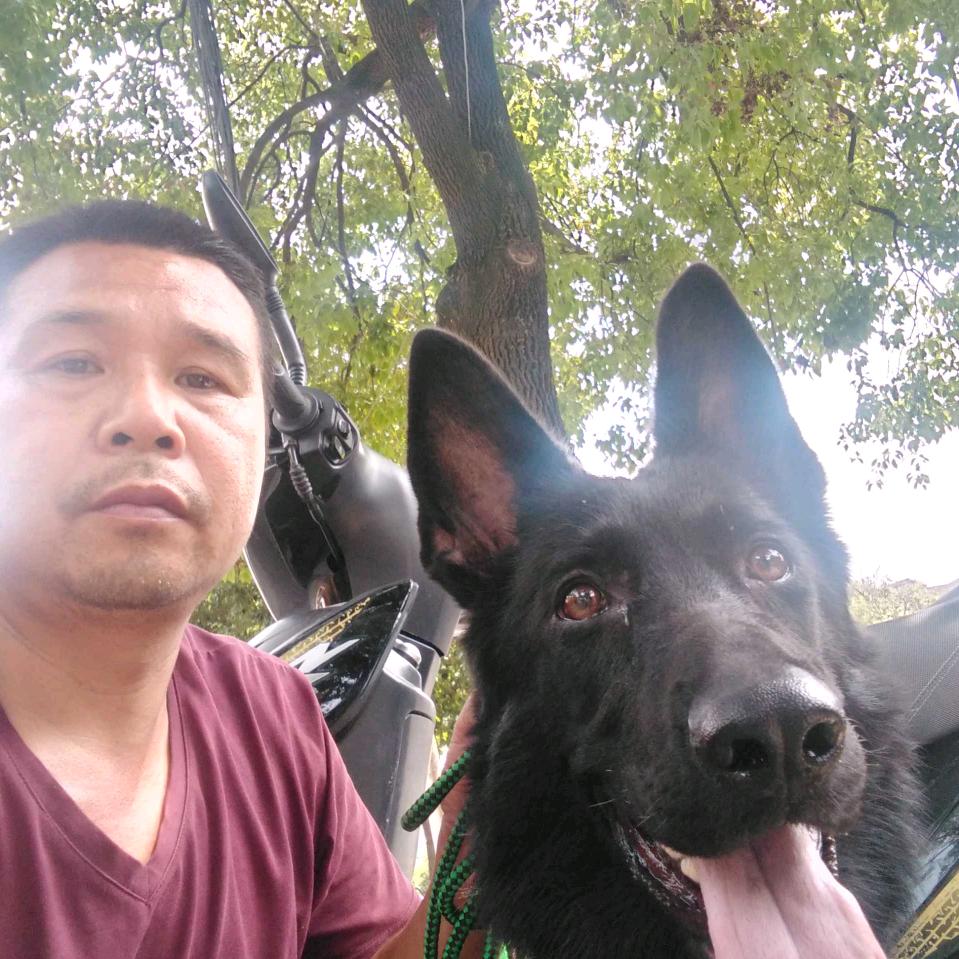 杨师傅54812(DDR)！认识你很高兴