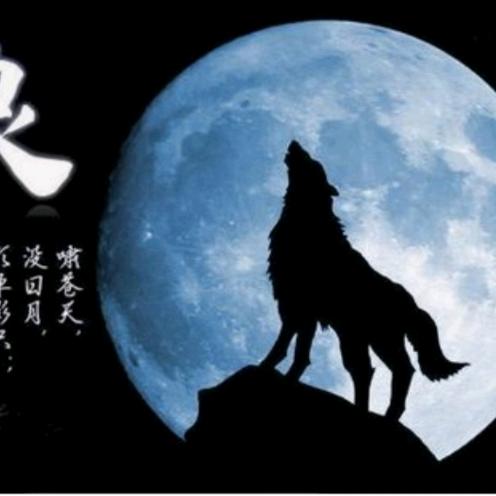 饿狼传说（烤烟助农及烘干设备服务）