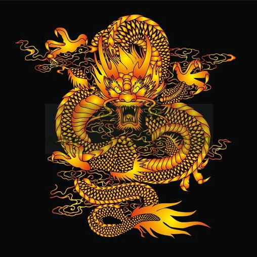 版纳的龙头像