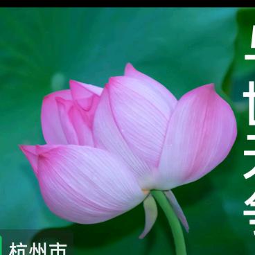 平安富贵