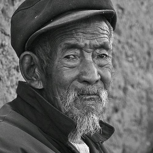 鼻子牛牛