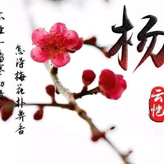 橡塑制品注塑模具