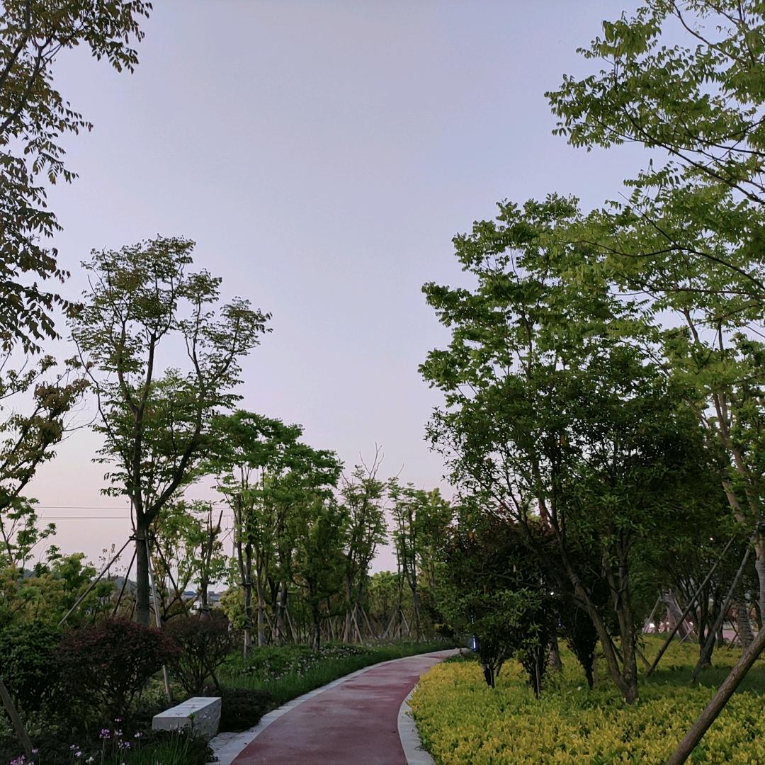 一杯茶
