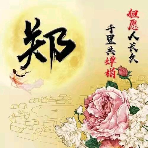 郑姐