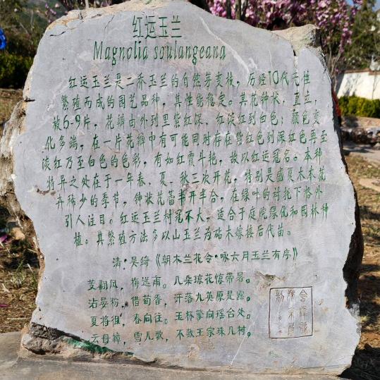 封哥