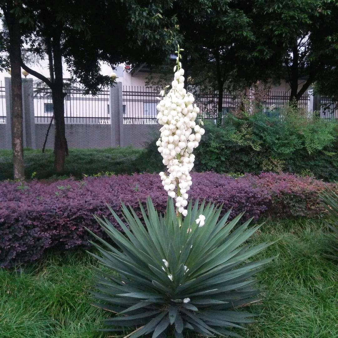 缘分天注定zhane