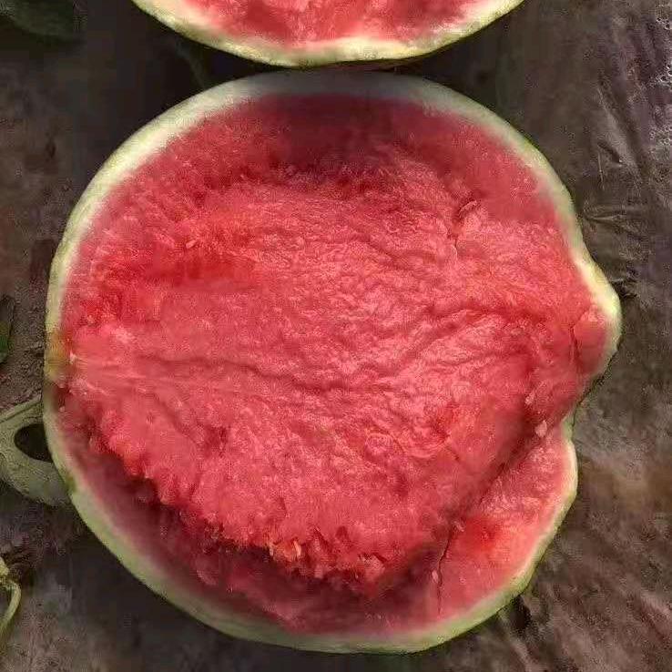 我非良人🍉🍉🍉