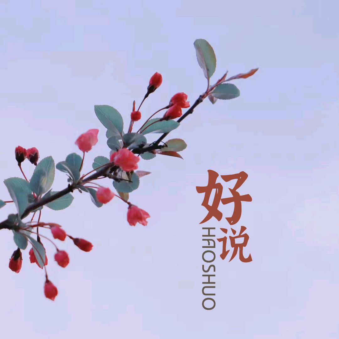 郑正好好