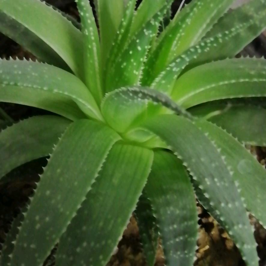 风雨☔️人生