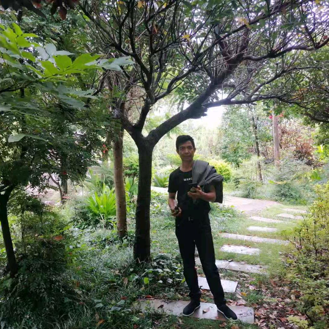 封心锁爱(❤ε❤)