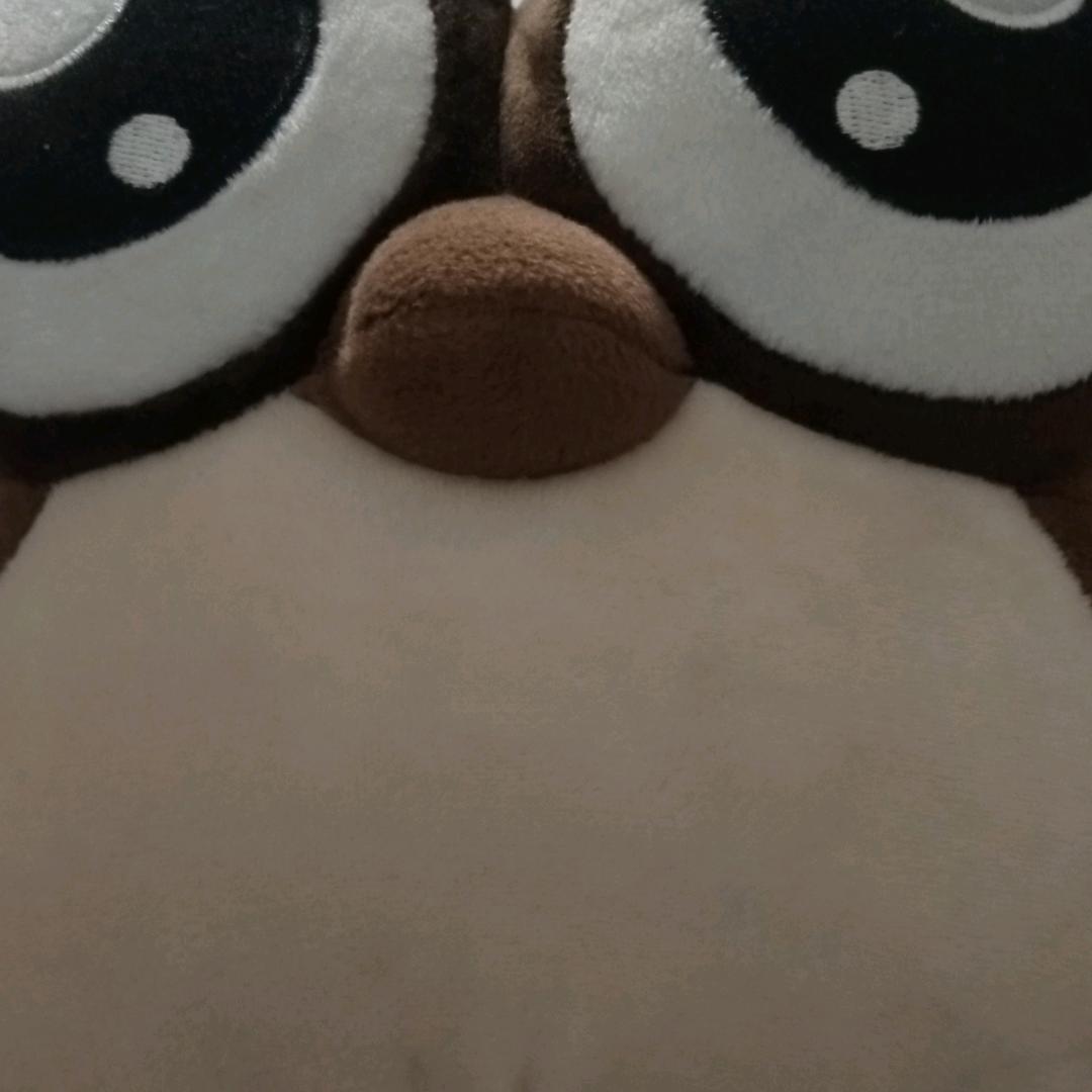开远华哥
