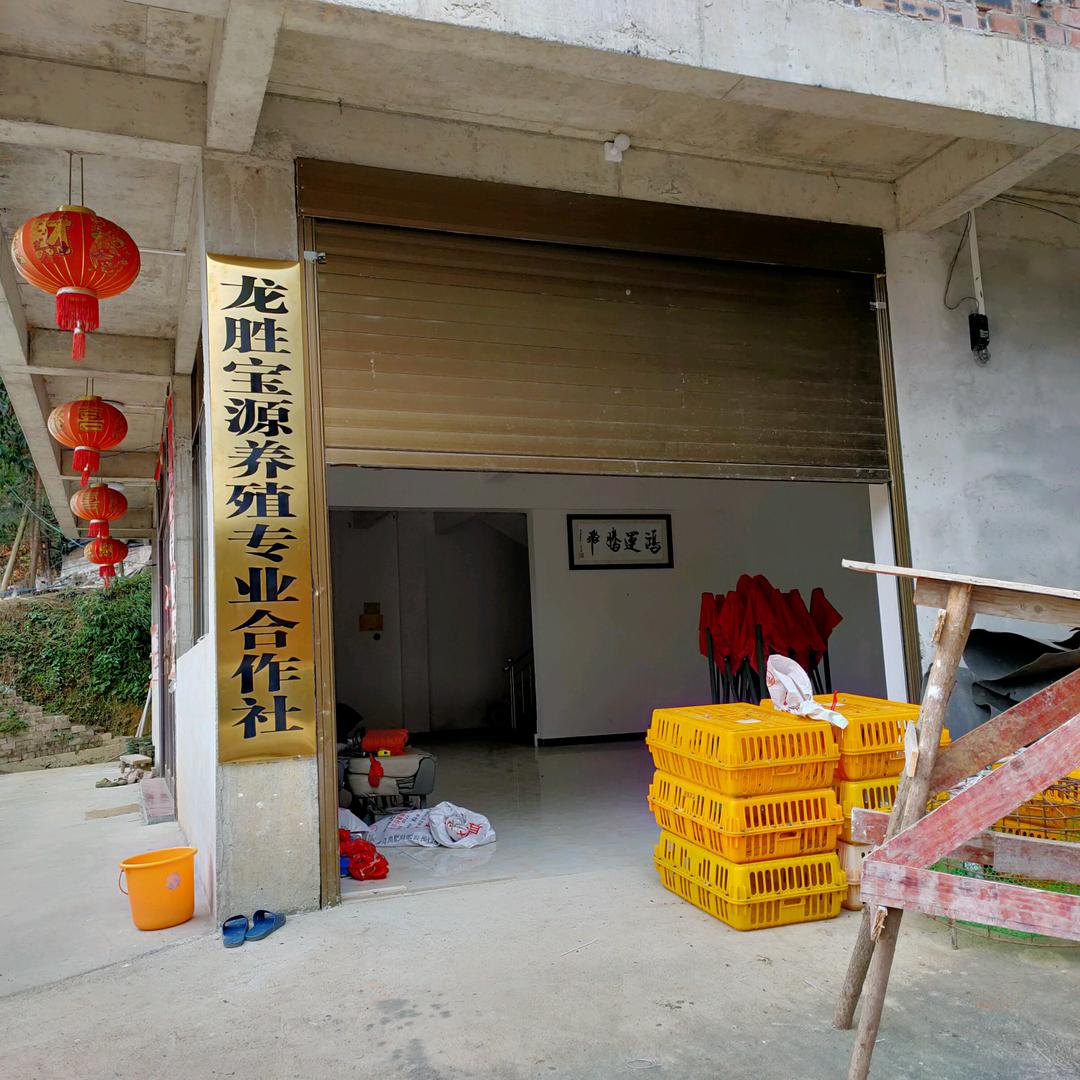 宝源养殖专业合作社
