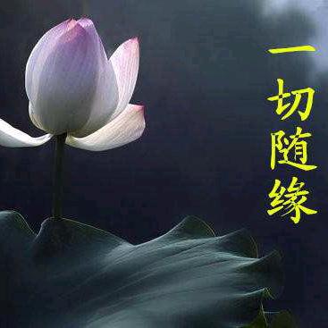 随心^O^随缘