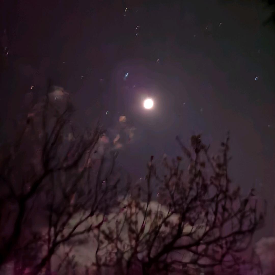 🌈咸鱼不闲🐟