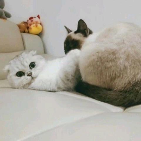 若遇见