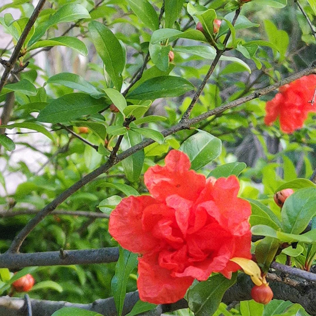 (｡･ω･｡)ﾉ♡有@你(*超@田(｡･