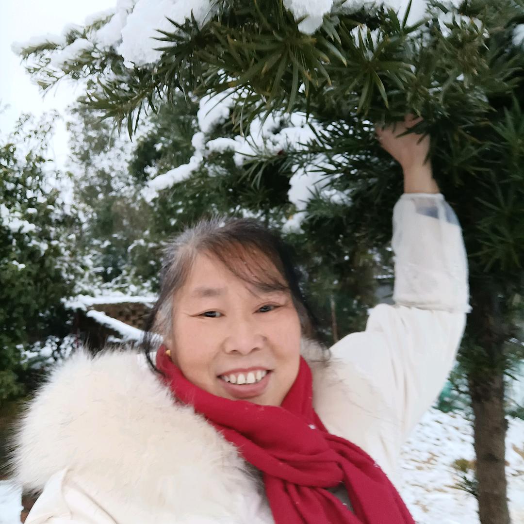 雪莲