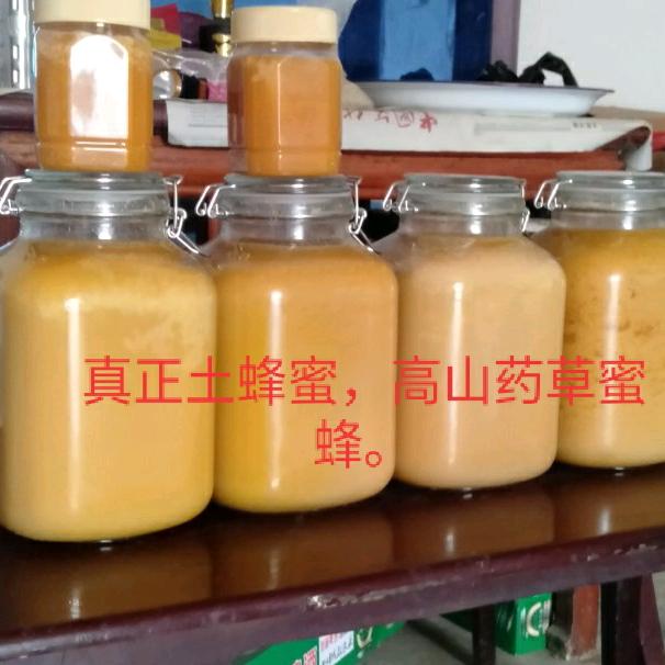 中药草土蜂蜜，谭老…
