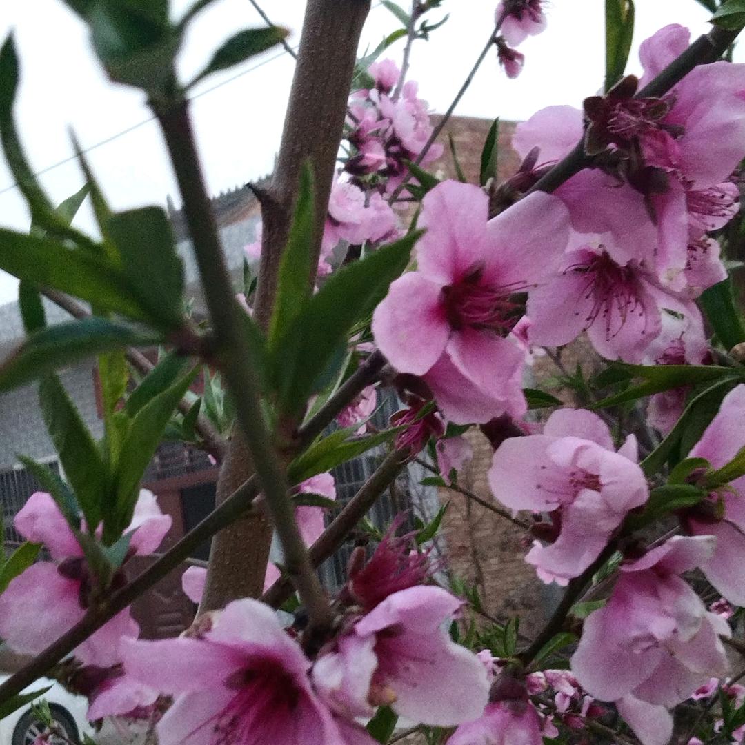 我们都是追梦人