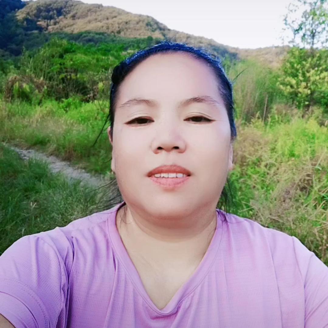 向云桃拍车