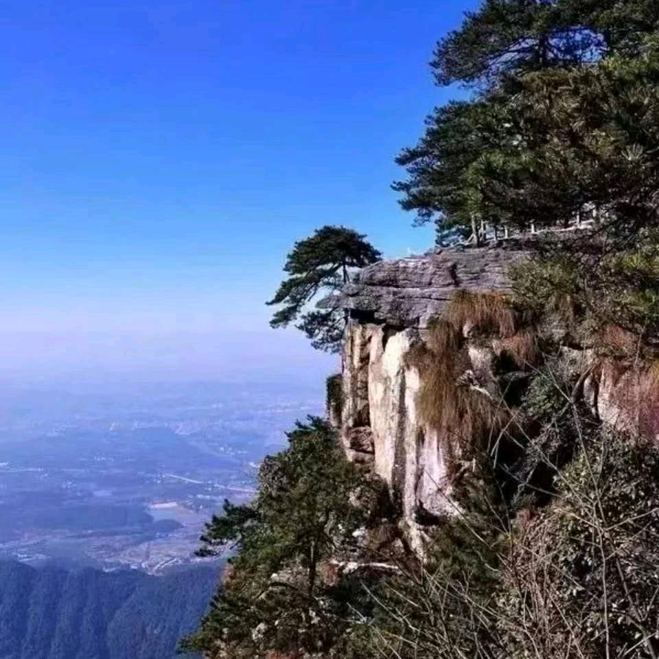 用户691427676374