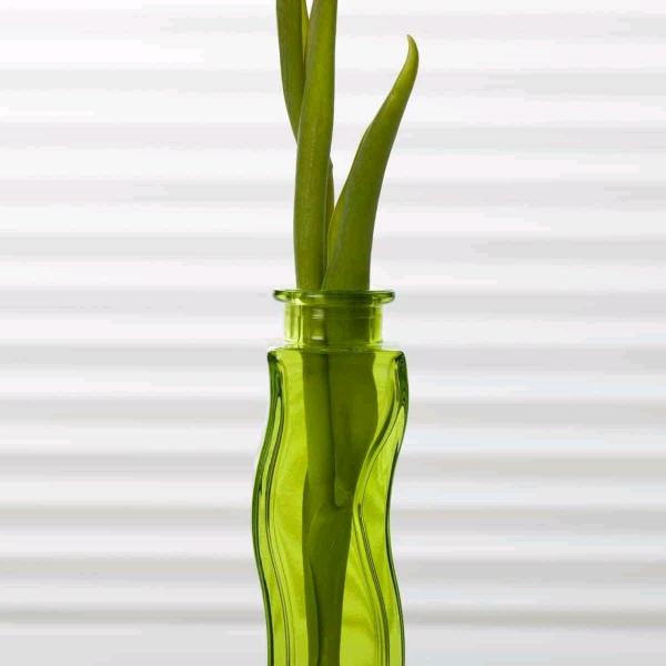 让心归零（自愈康联盟）