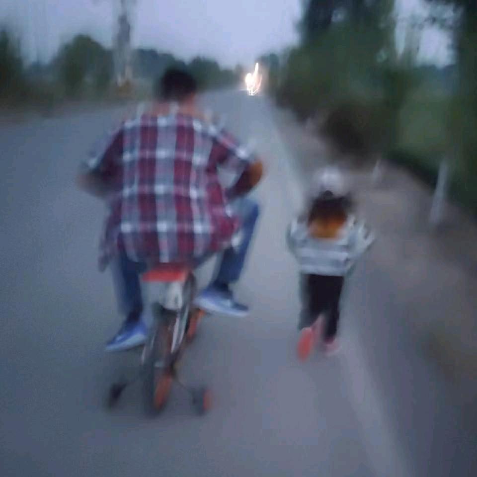 贺迈年