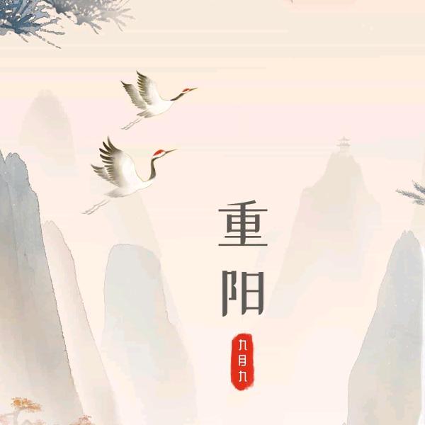 乔玥铺子