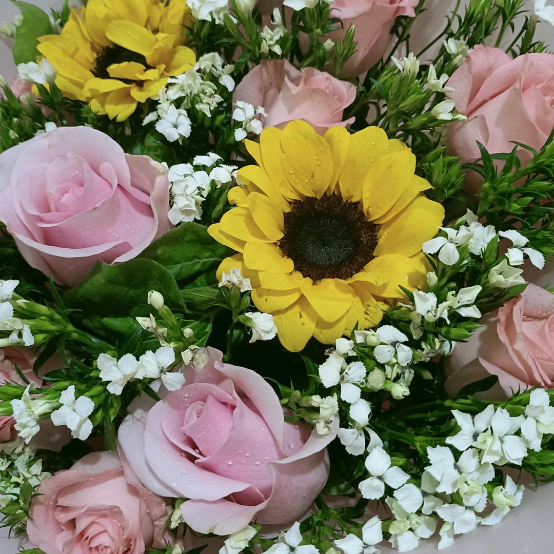 💖⁵²⁰袁入༒ۣ邹心¹³¹⁴