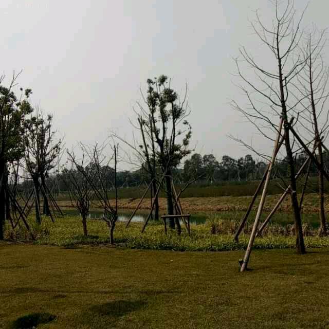 执子之手与子偕老