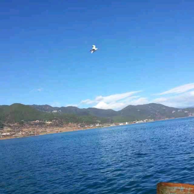 发现1188
