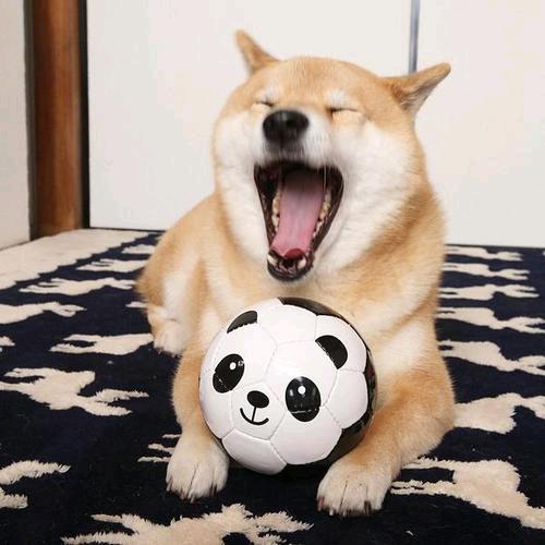 WMH