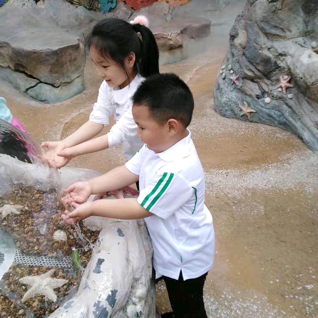 赵卿